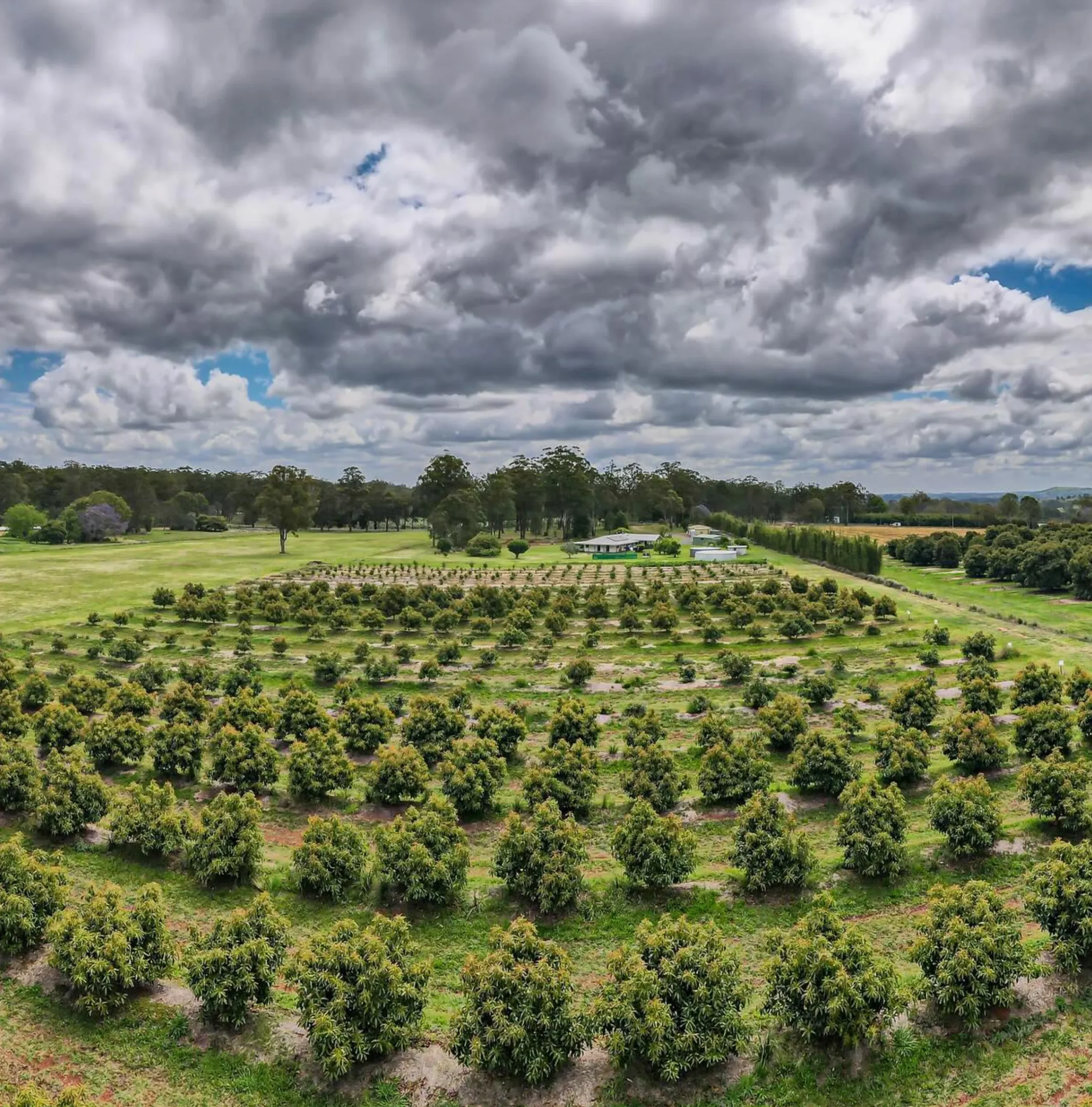 Great Dividing Range, Yarra Valley