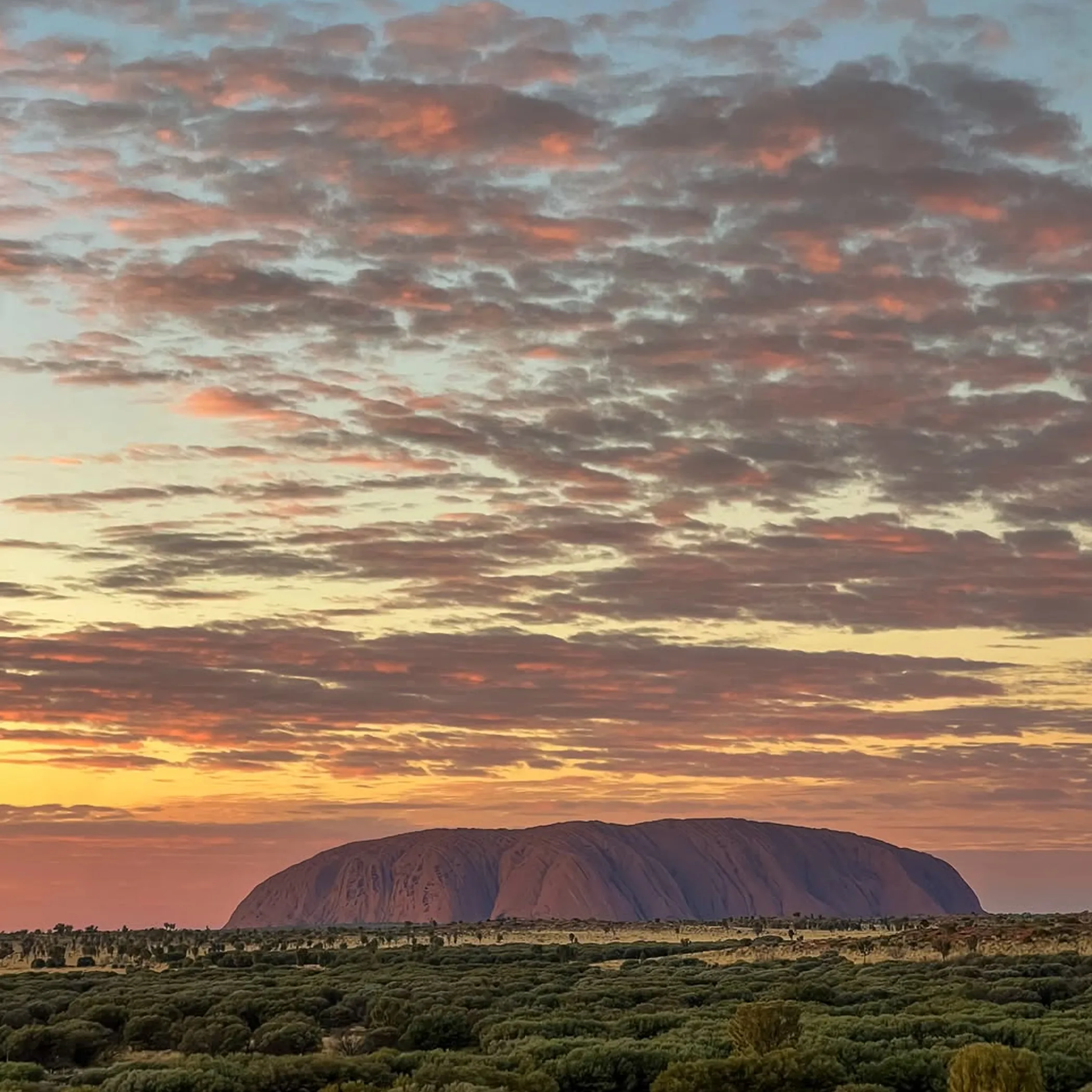 ayers rock resort shuttle bus arrival