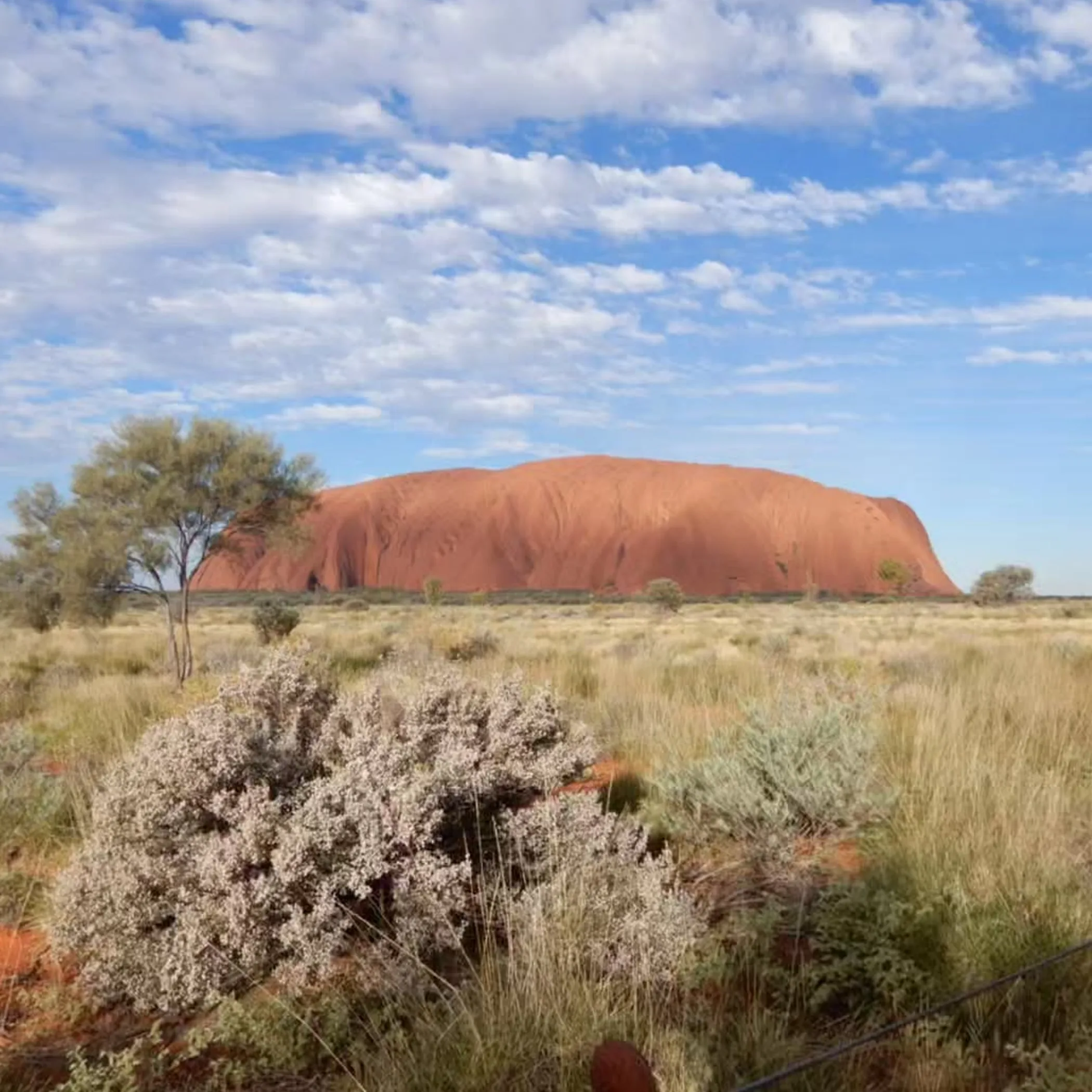 hikers with sun hats uluru base walk